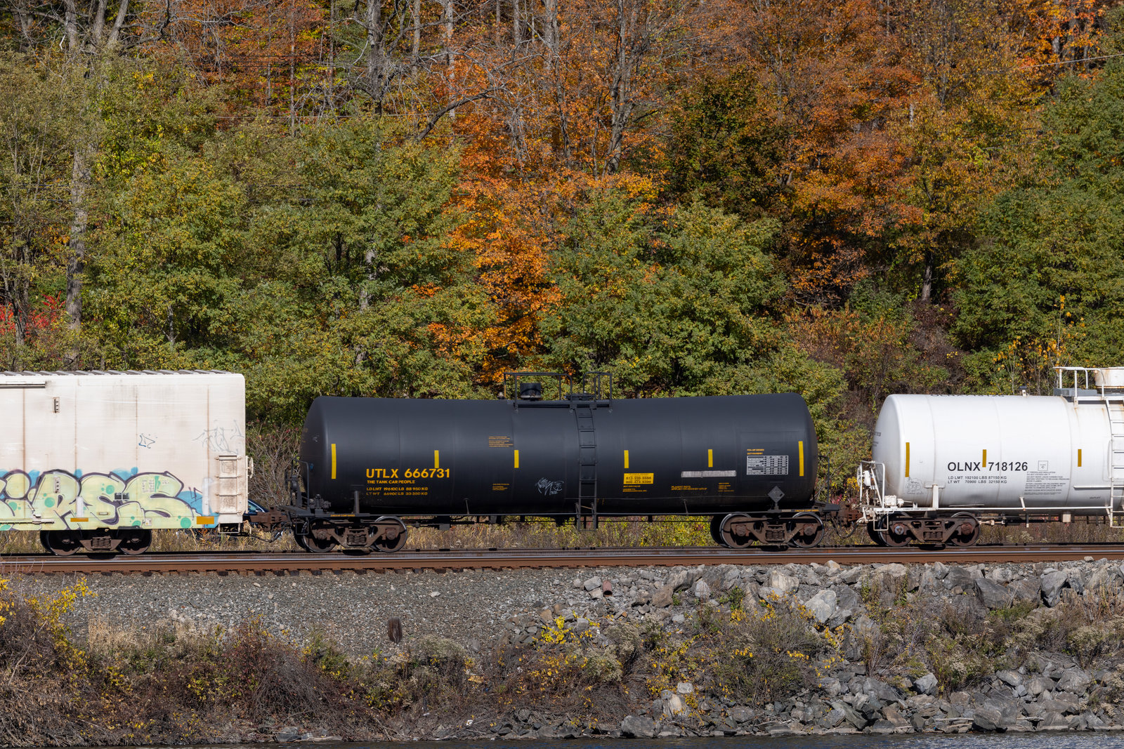 UTLX 666731