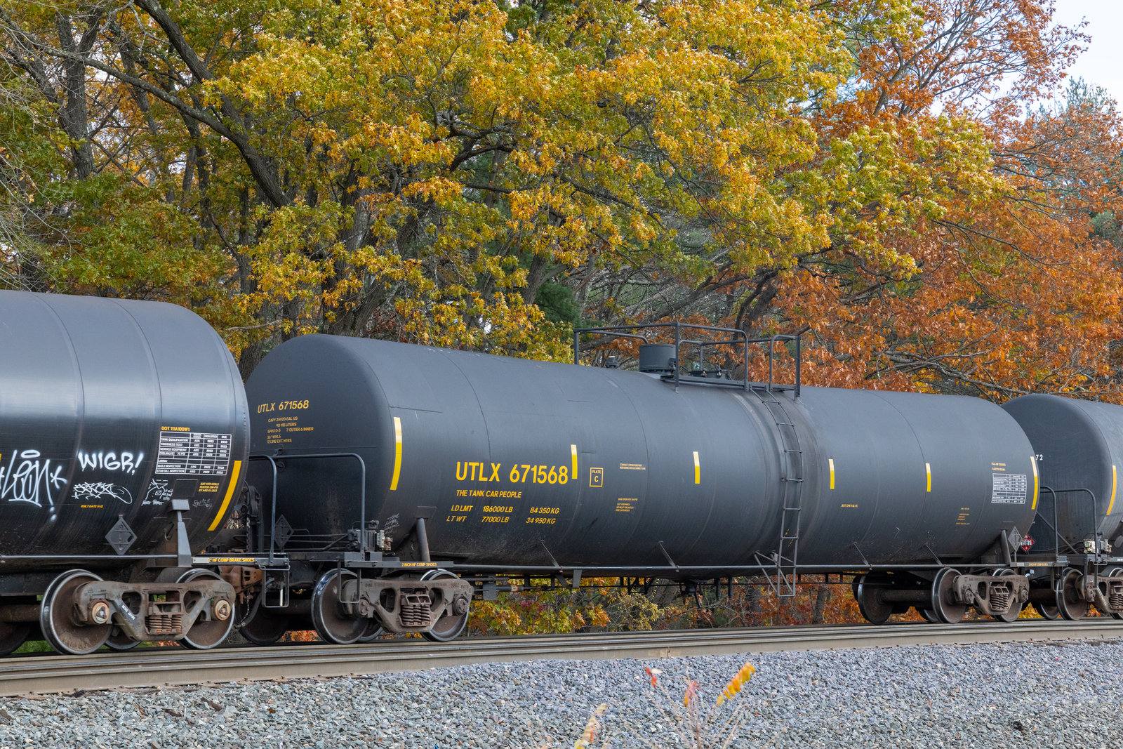 UTLX 671568