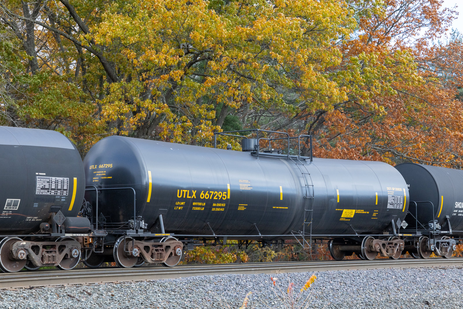 UTLX 667295