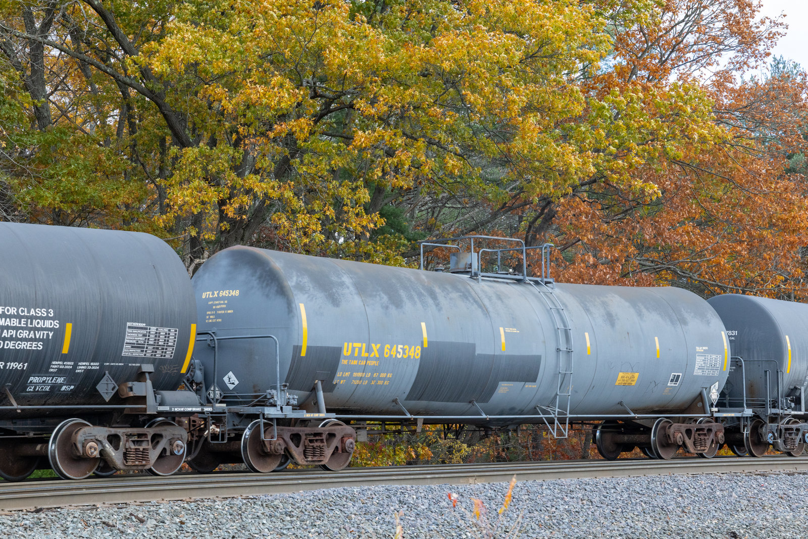 UTLX 645348