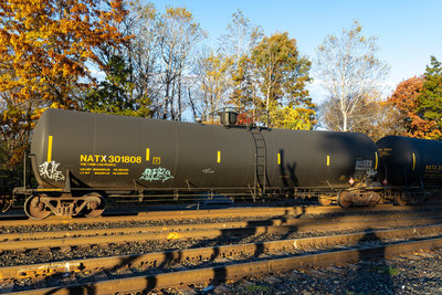 NATX 301808