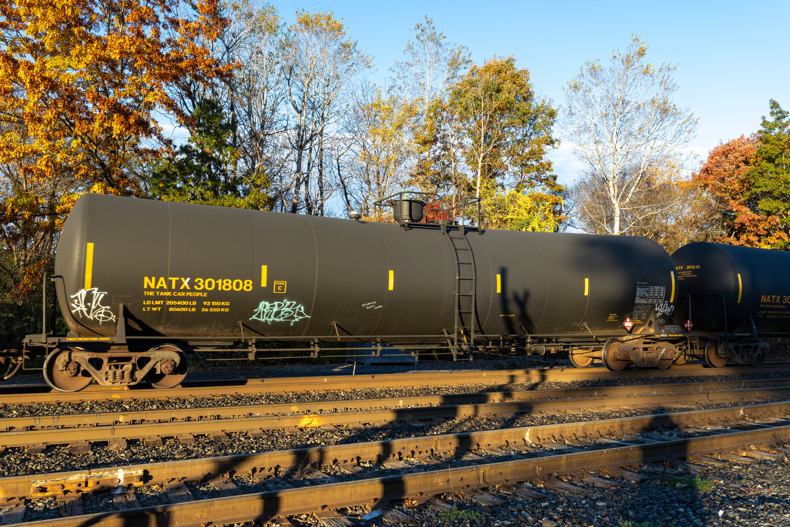 NATX 301808