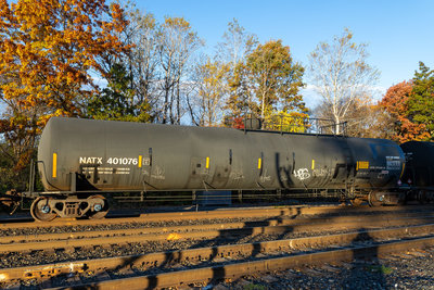 NATX 401076