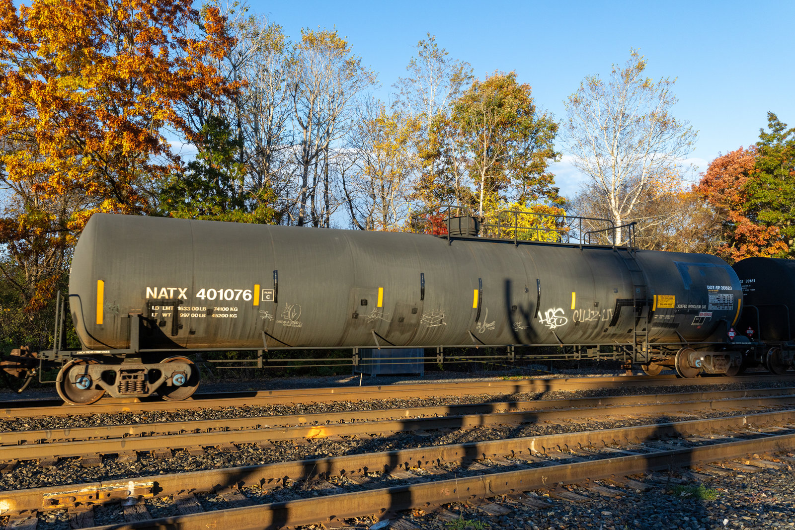 NATX 401076