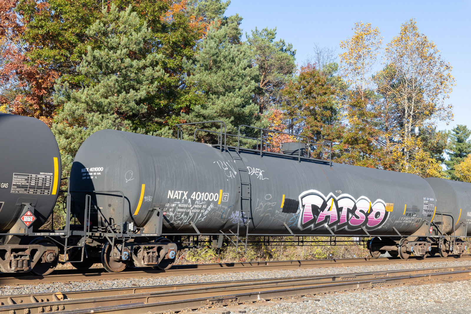 NATX 401000