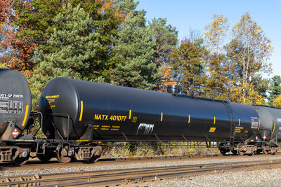 NATX 401077