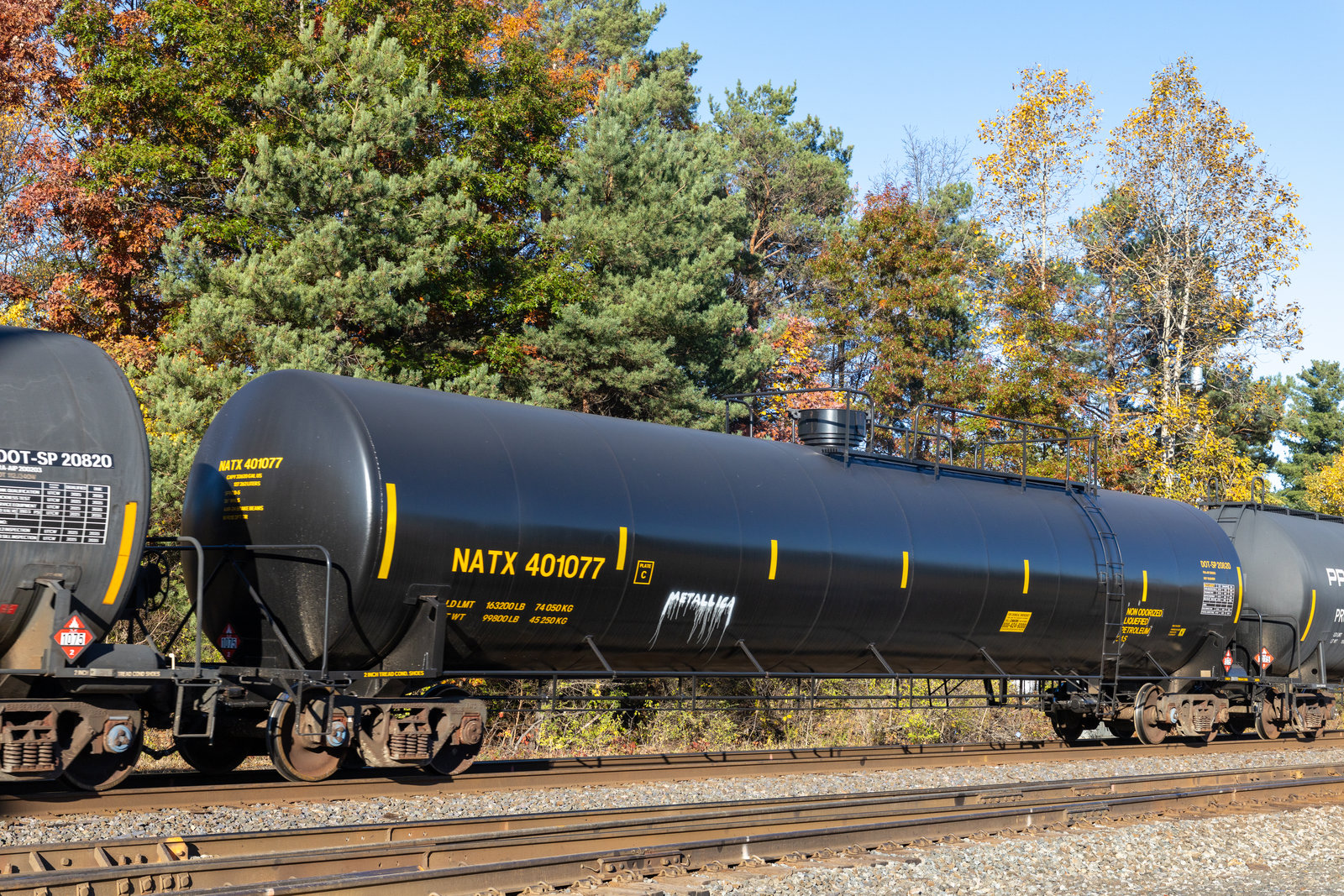NATX 401077