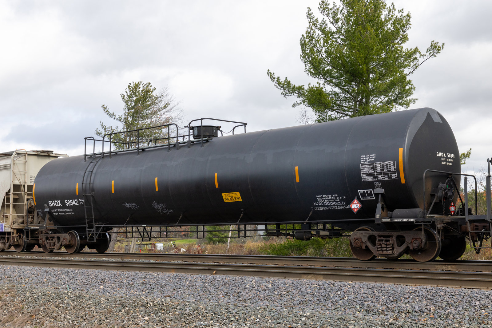 SHQX 50542