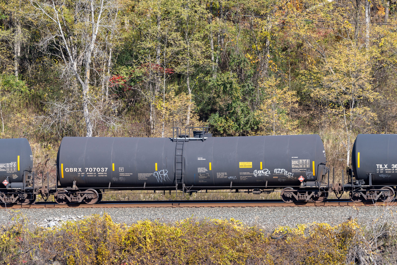 GBRX 707037
