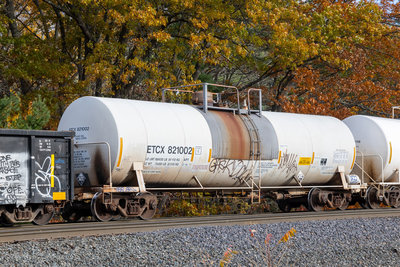 ETCX 821002