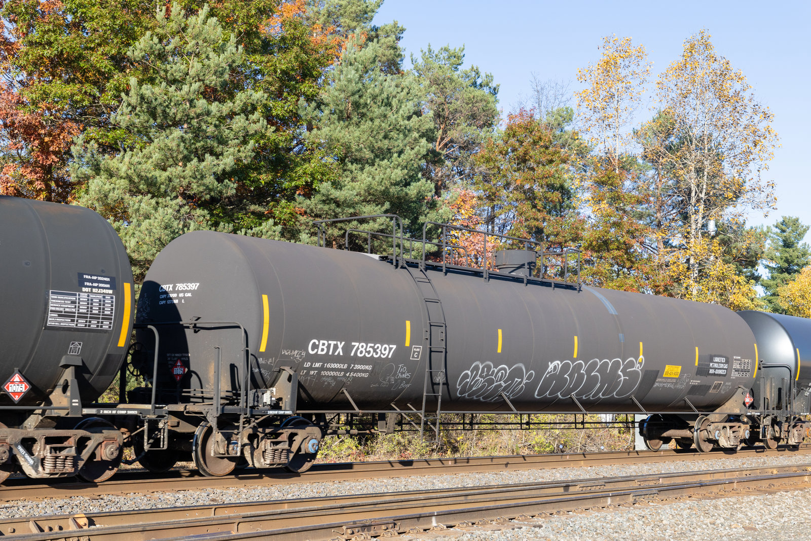 CBTX 785397
