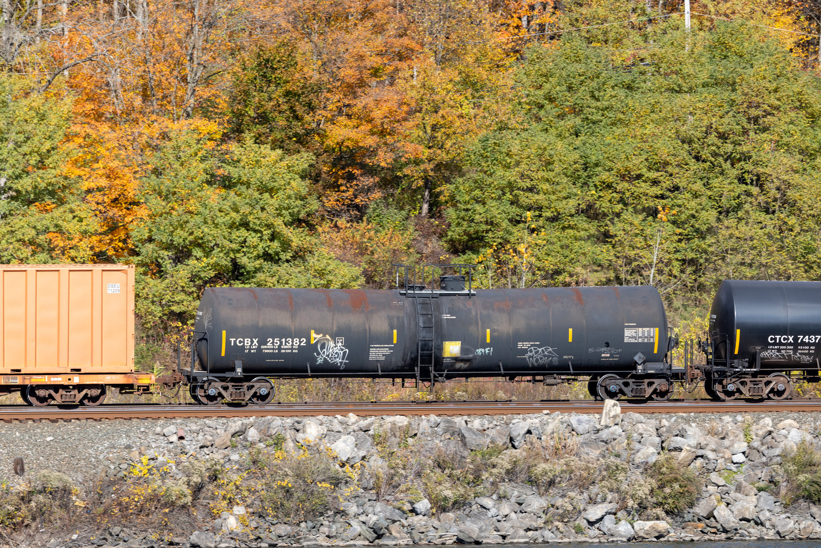 TCBX 251382