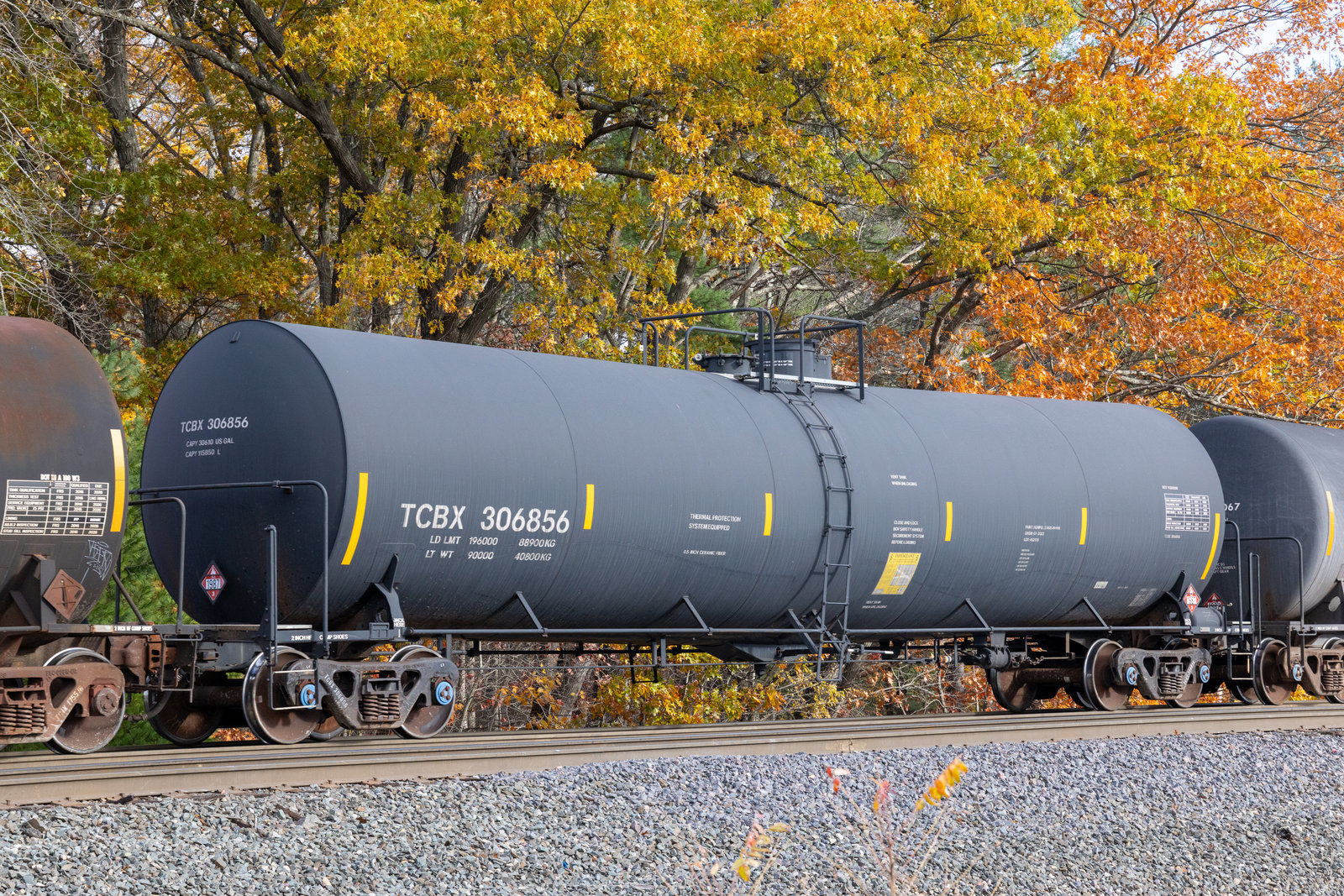 TCBX 306856