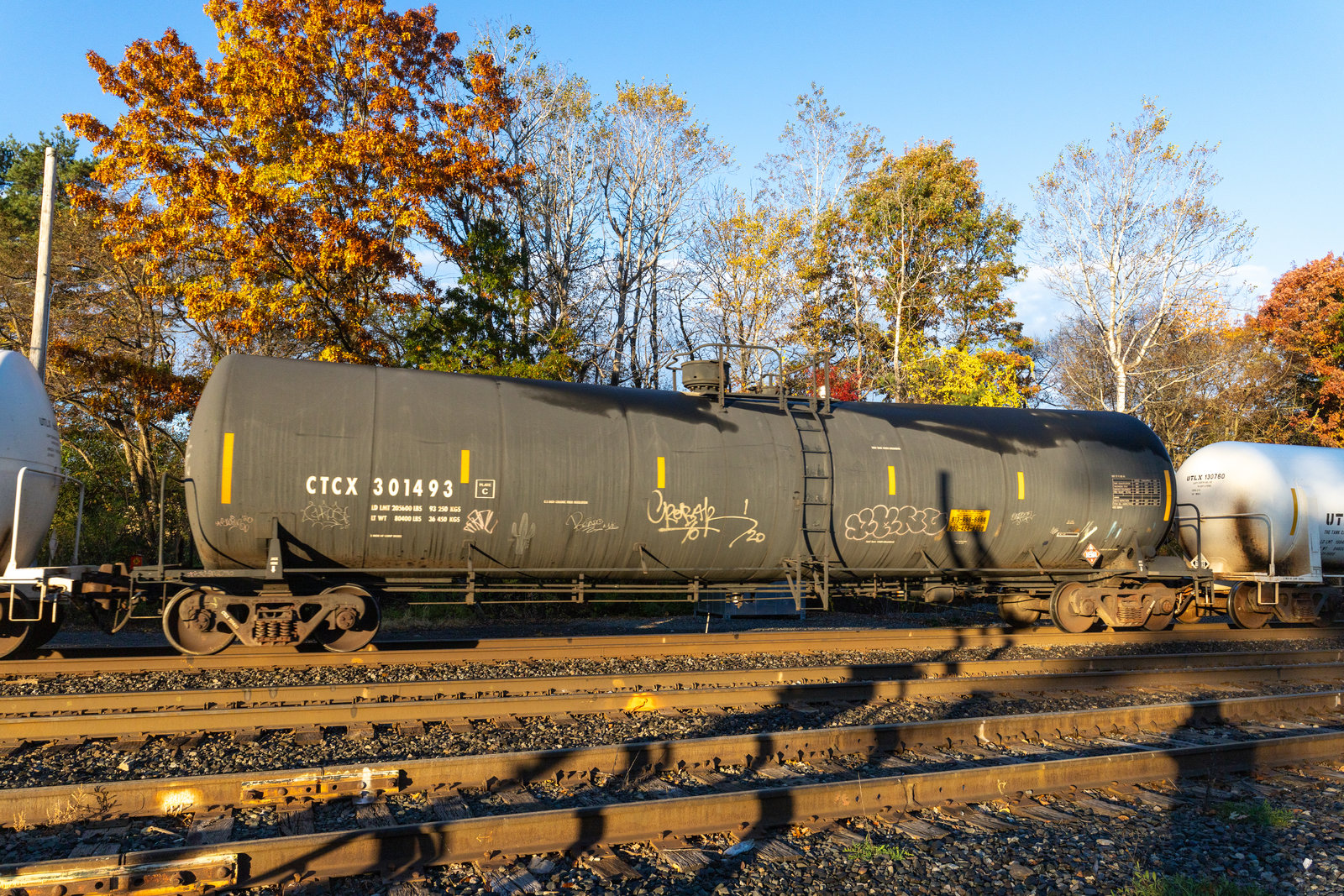 CTCX 301493