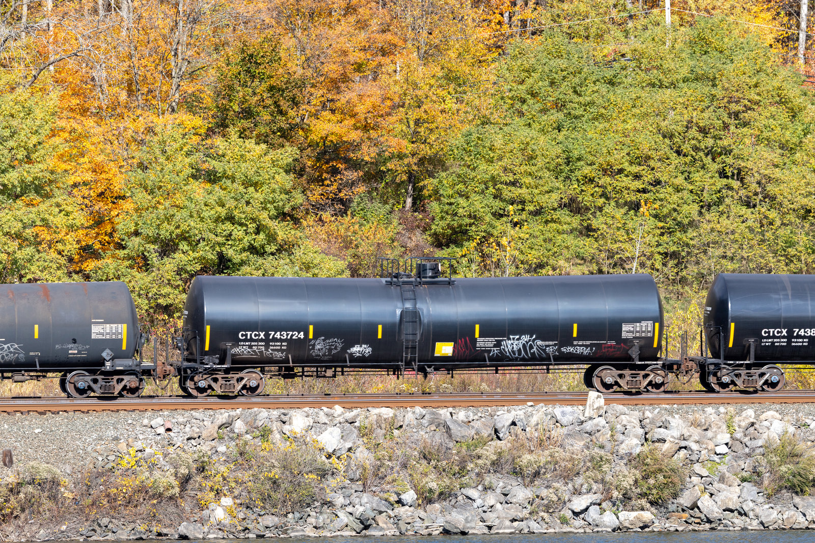 CTCX 743724