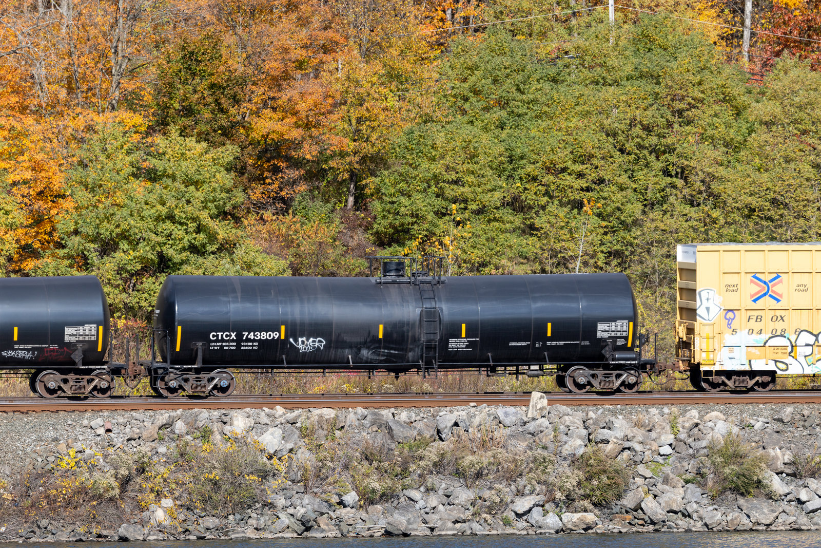 CTCX 743809