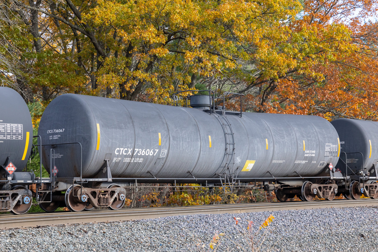 CTCX 736067