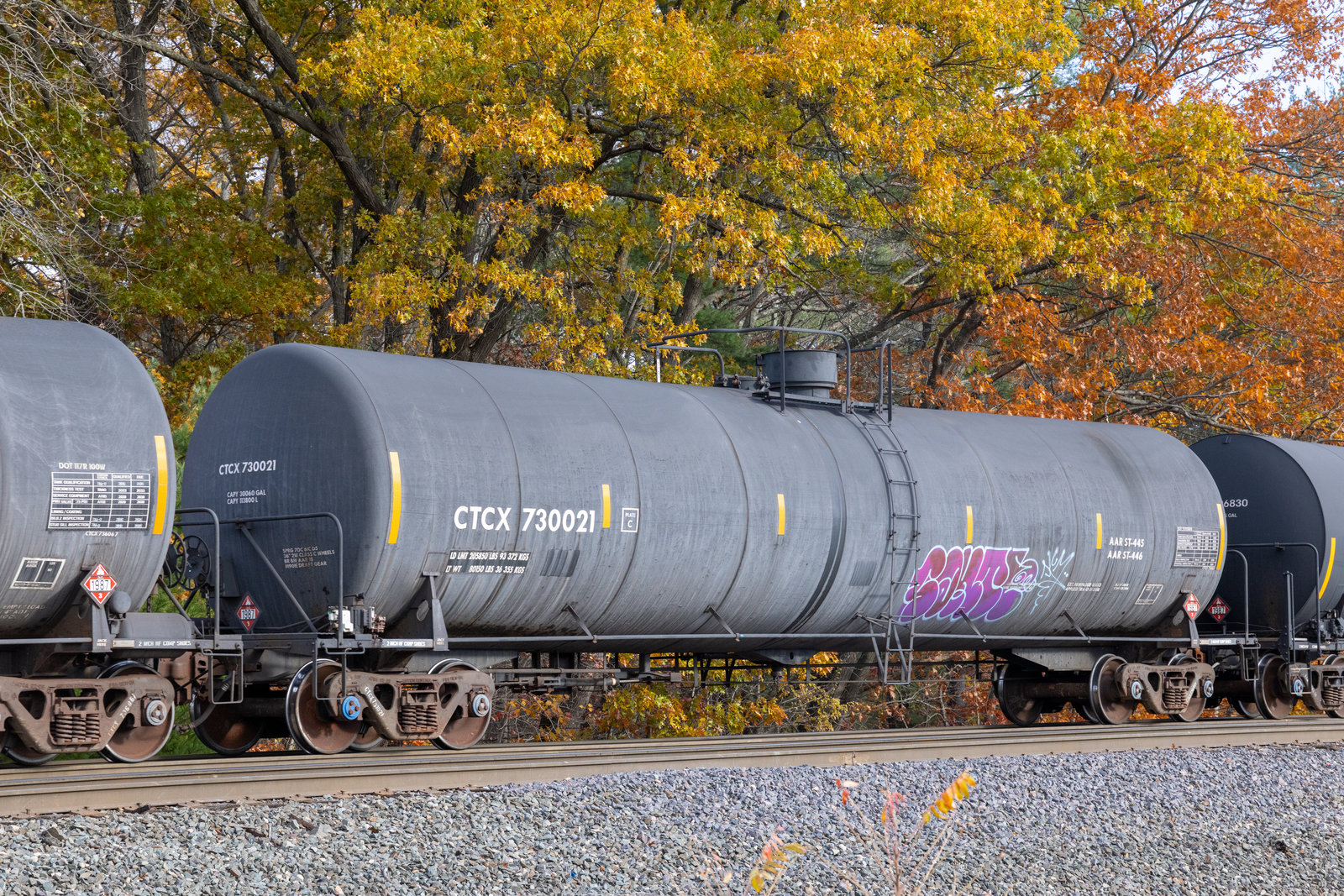 CTCX 730021