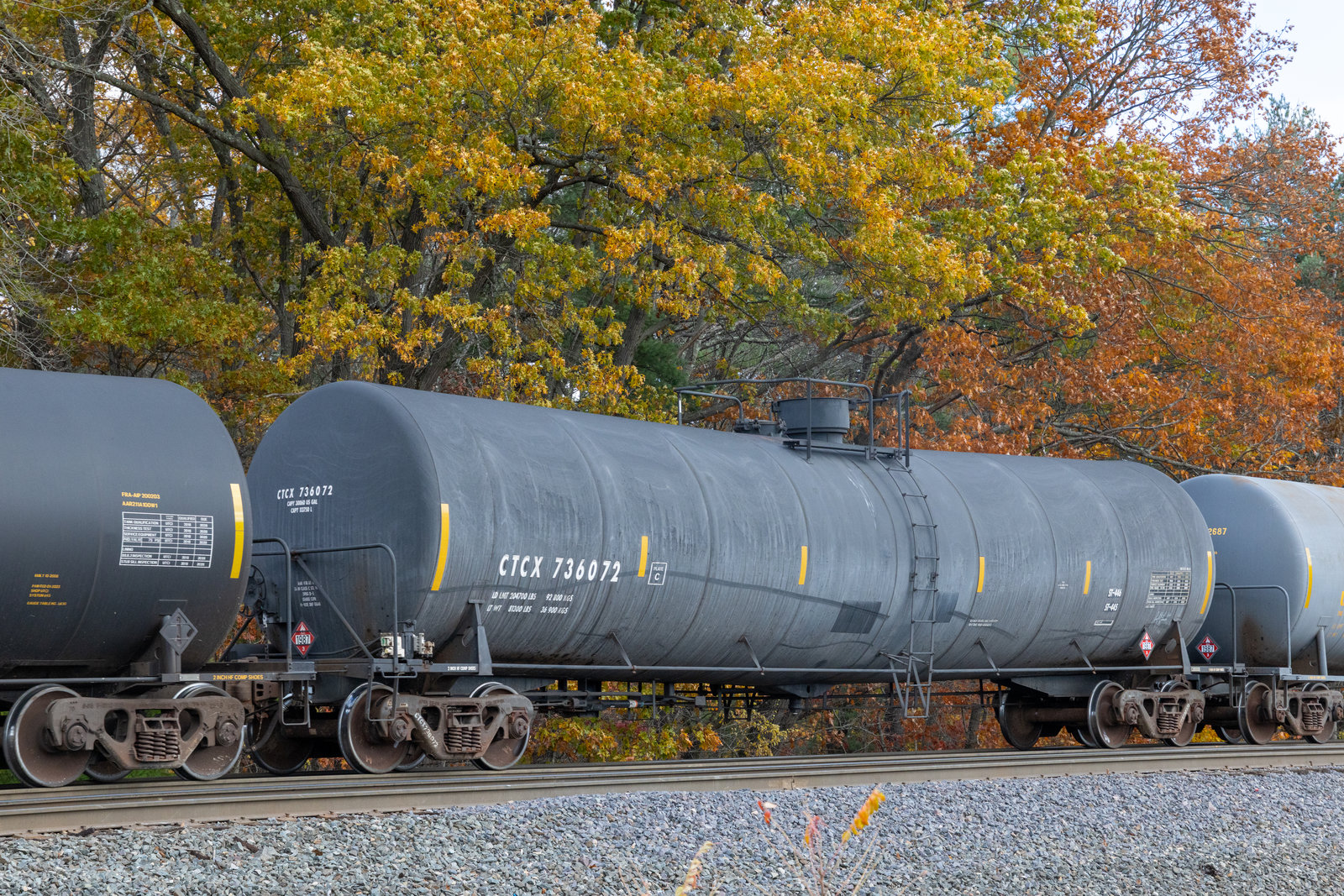 CTCX 736072