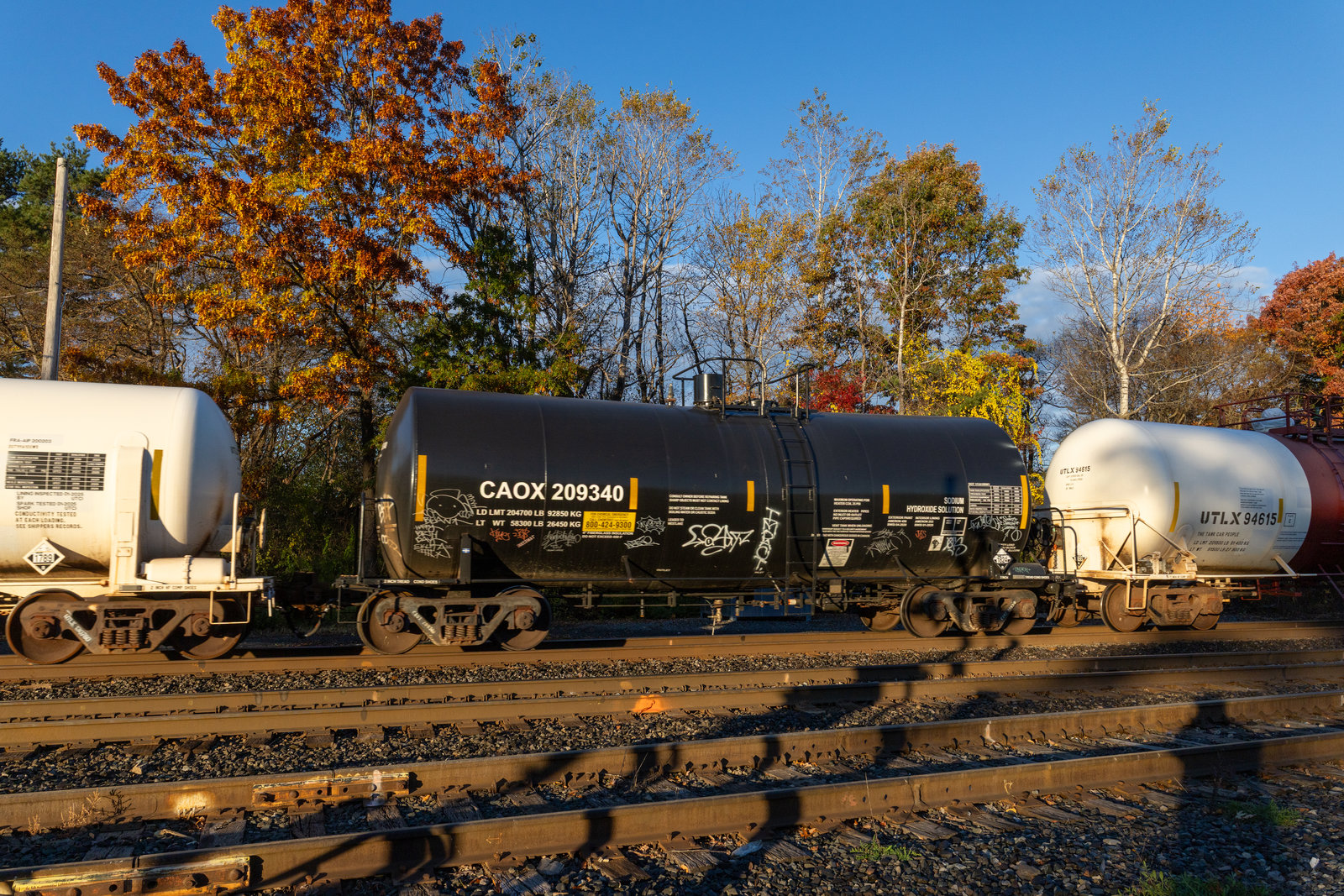 CAOX 209340