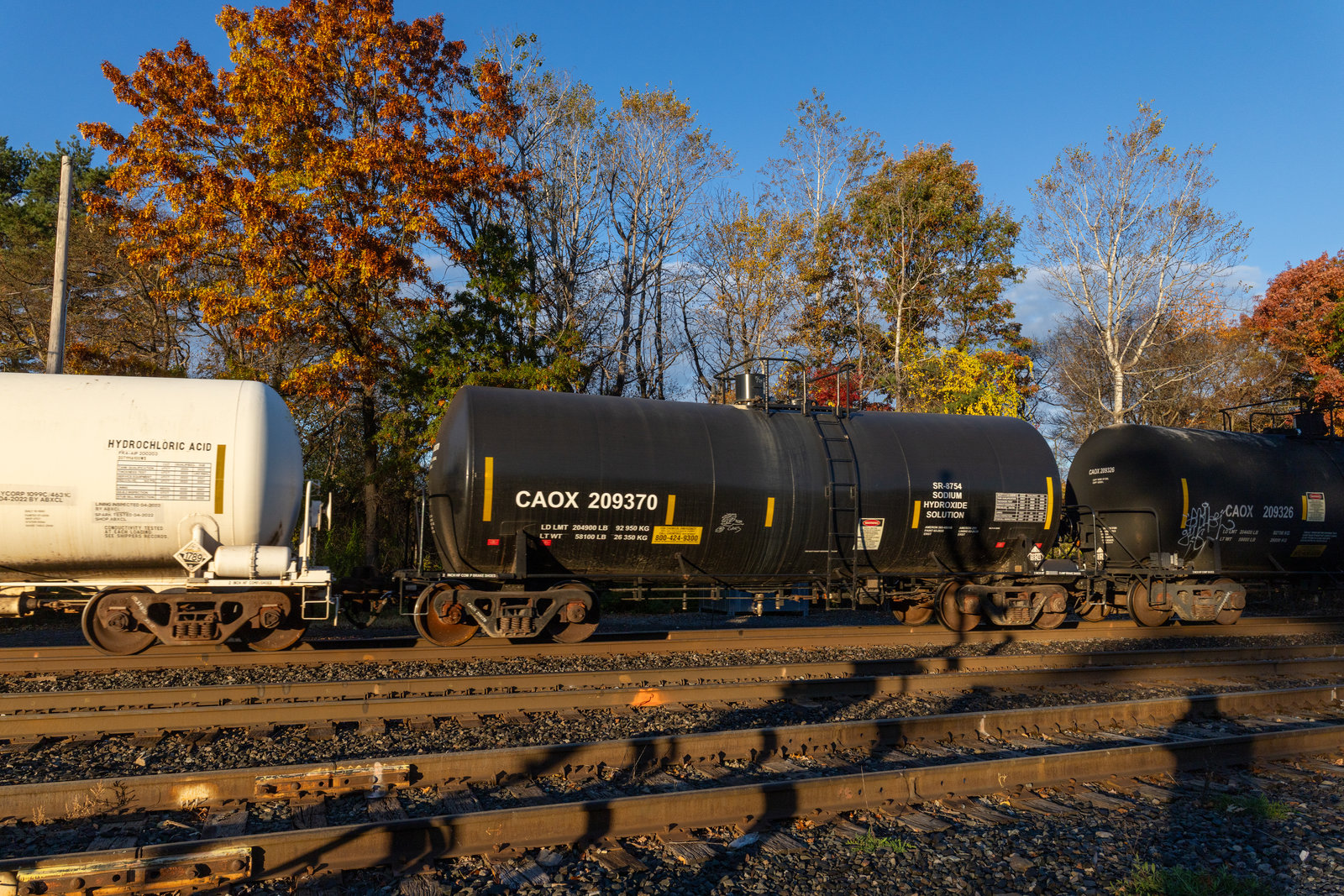 CAOX 209370