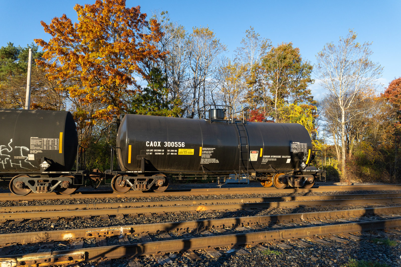 CAOX 300556