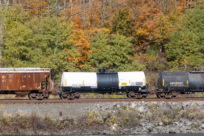SBLX 24286