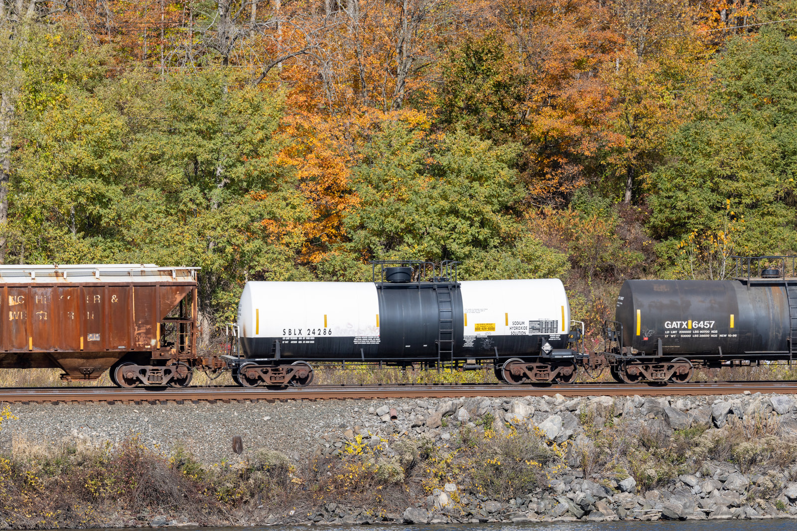 SBLX 24286