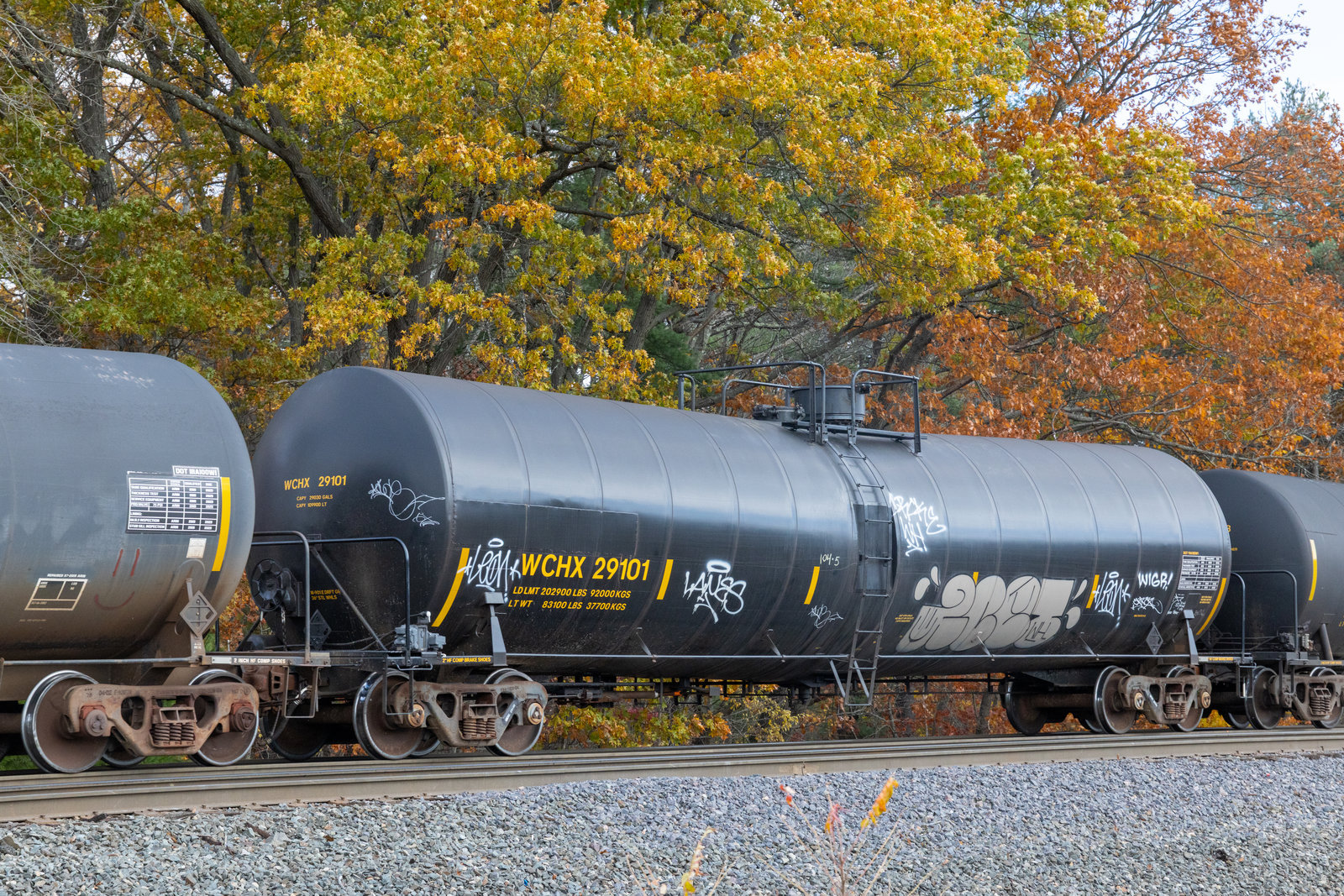 WCHX 29101