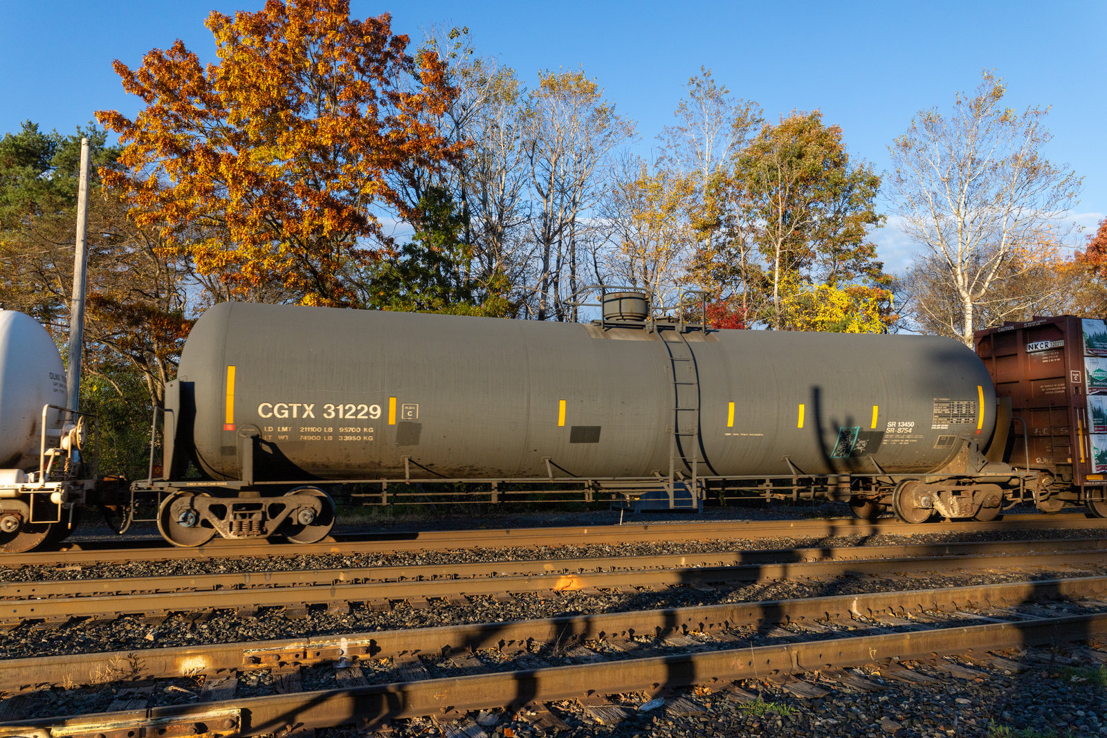 CGTX 31229