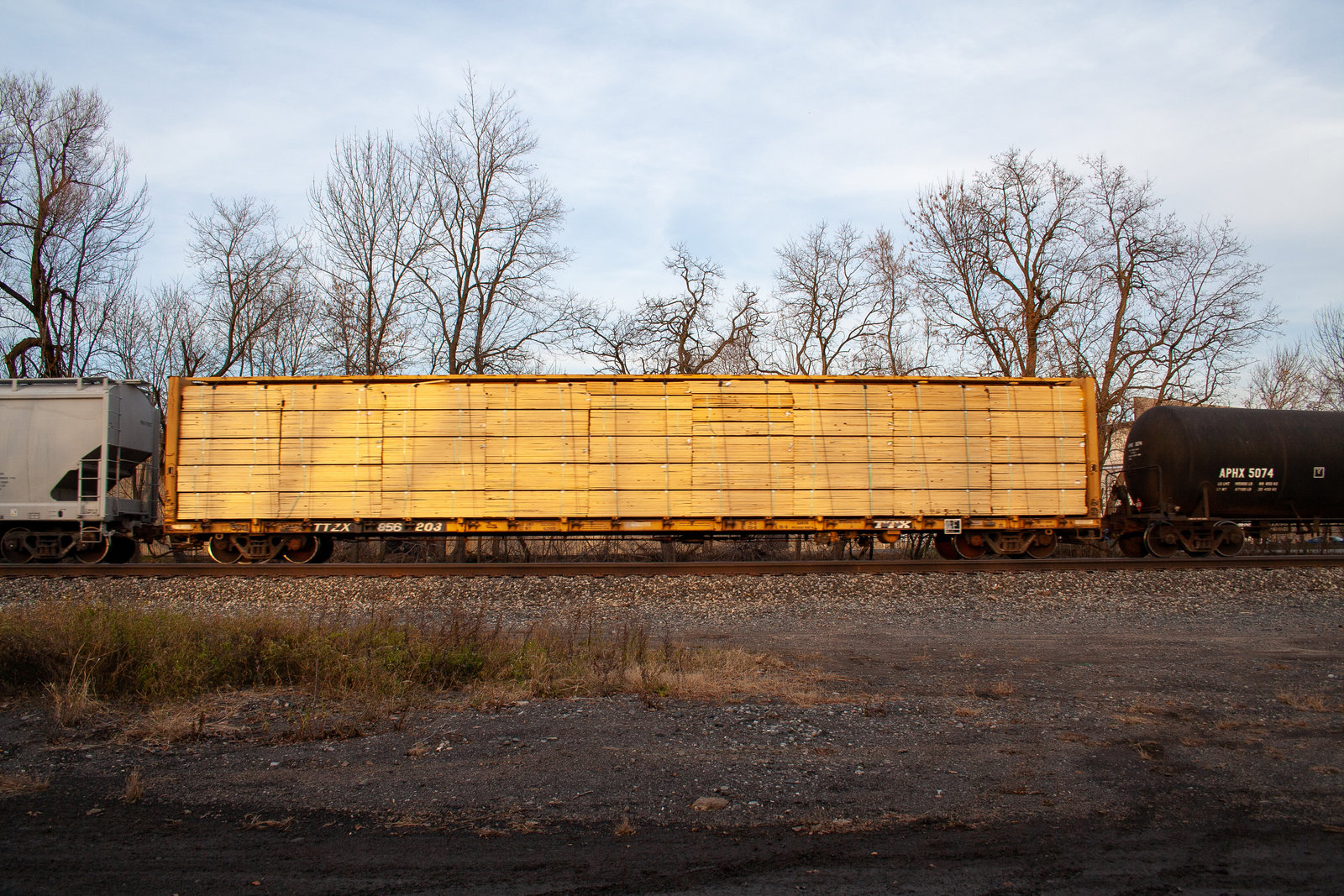 TTZX 856203