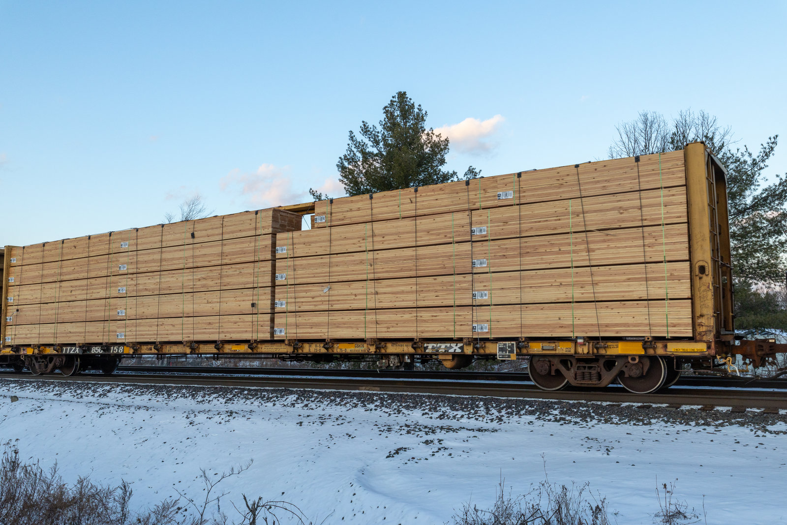 TTZX 856158