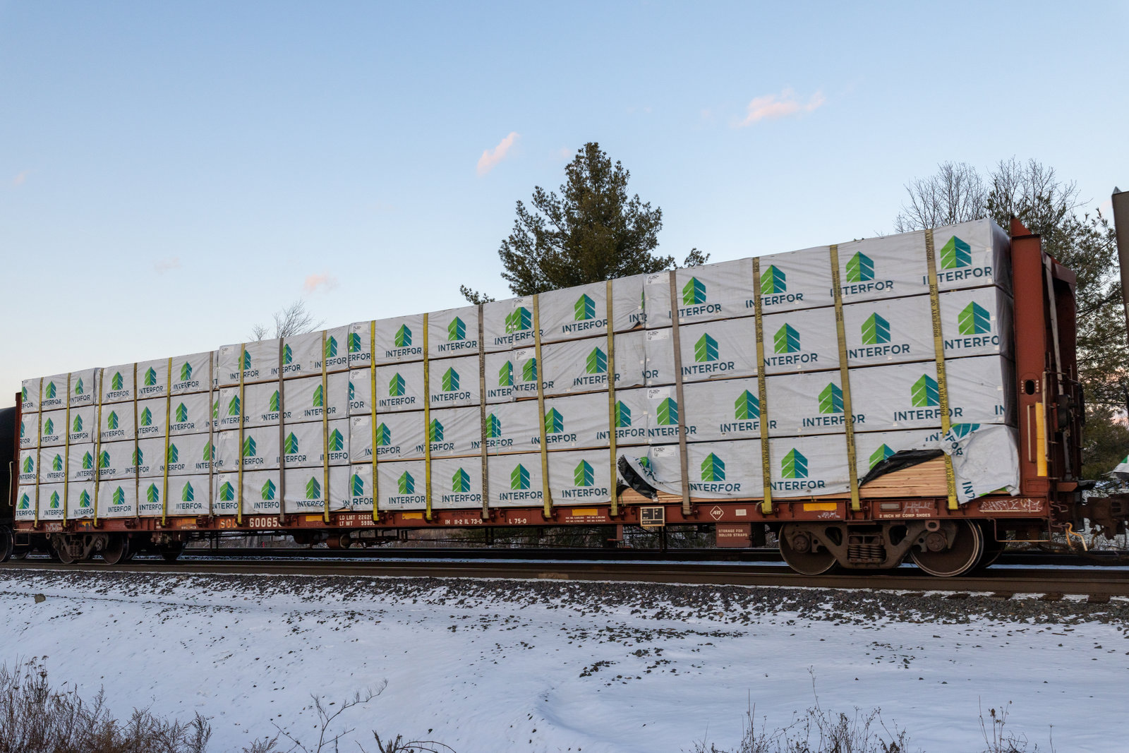 SOO 600655