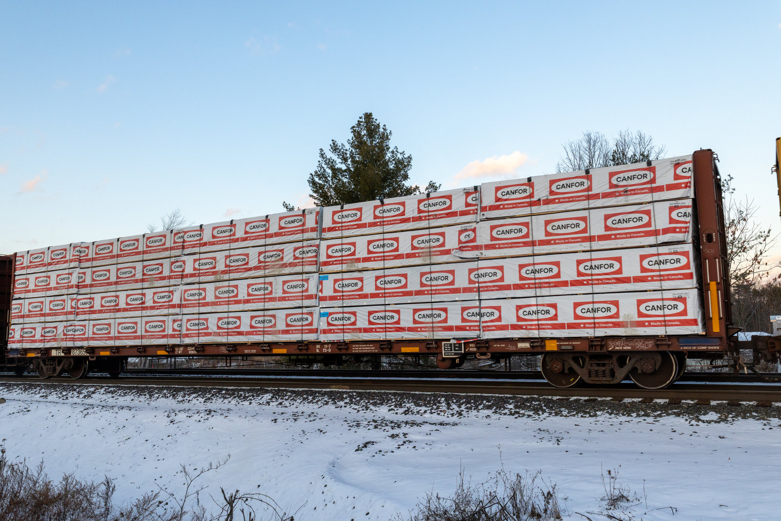 TR 873655