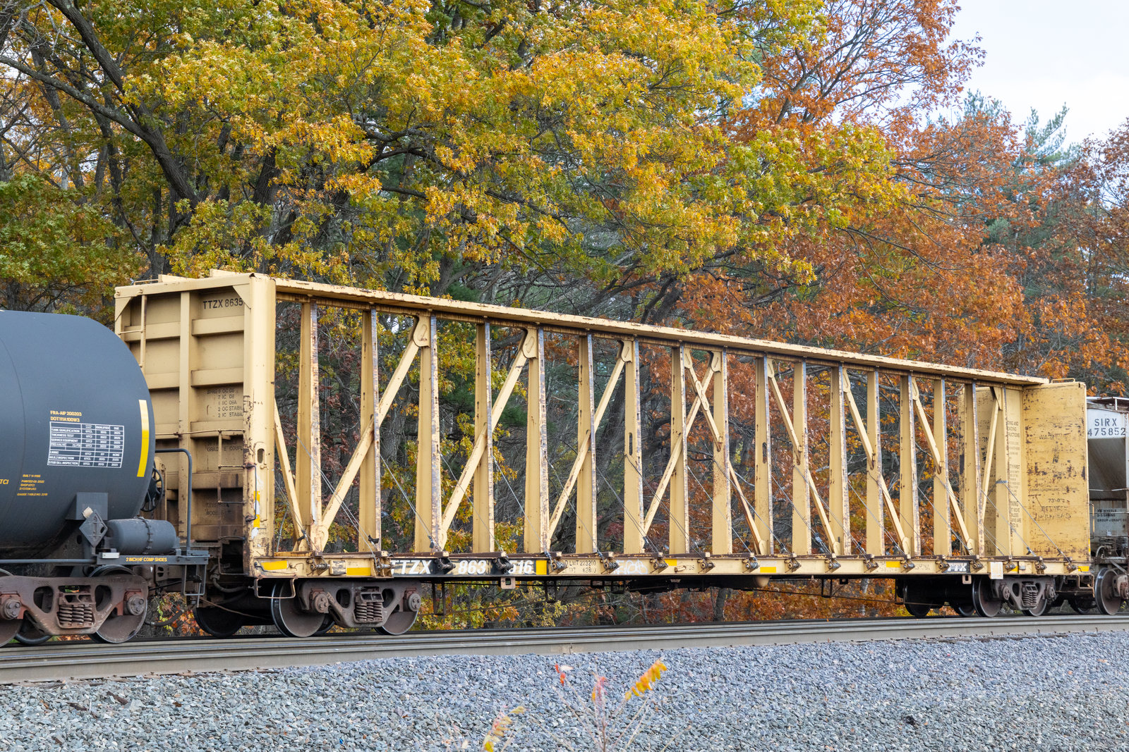TTZX 863516