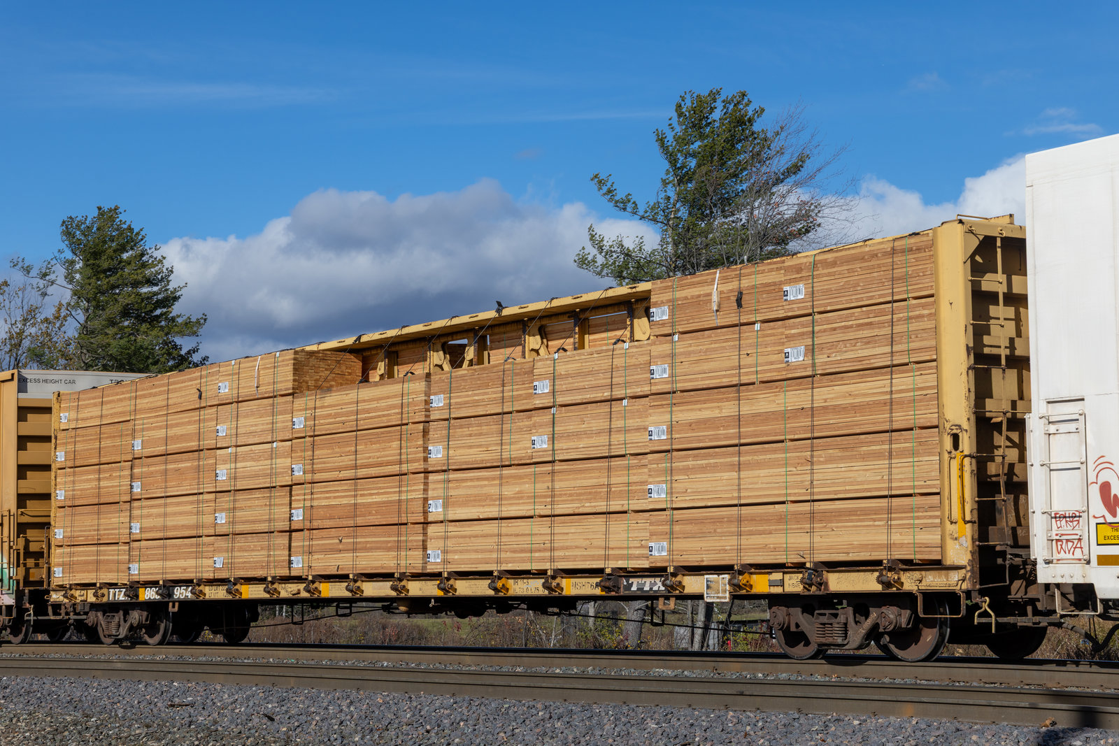 TTZX 863954