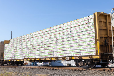 TTZX 865727