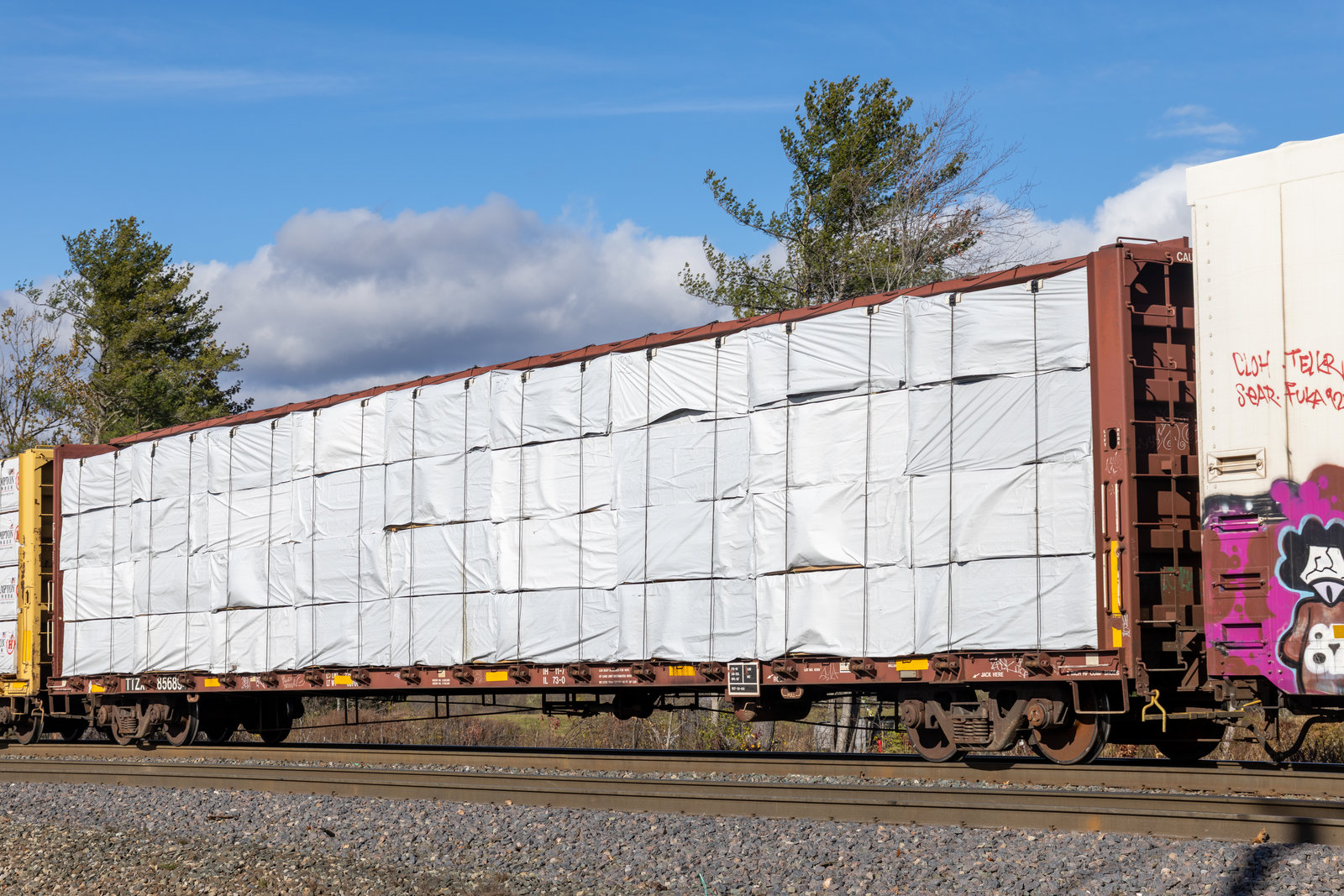 TTZX 856894