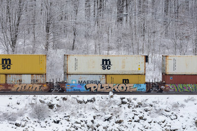 BNSF 238511D