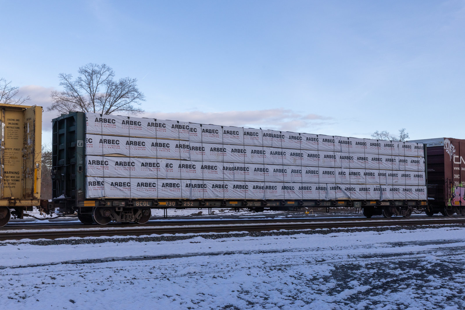 BCOL 730252