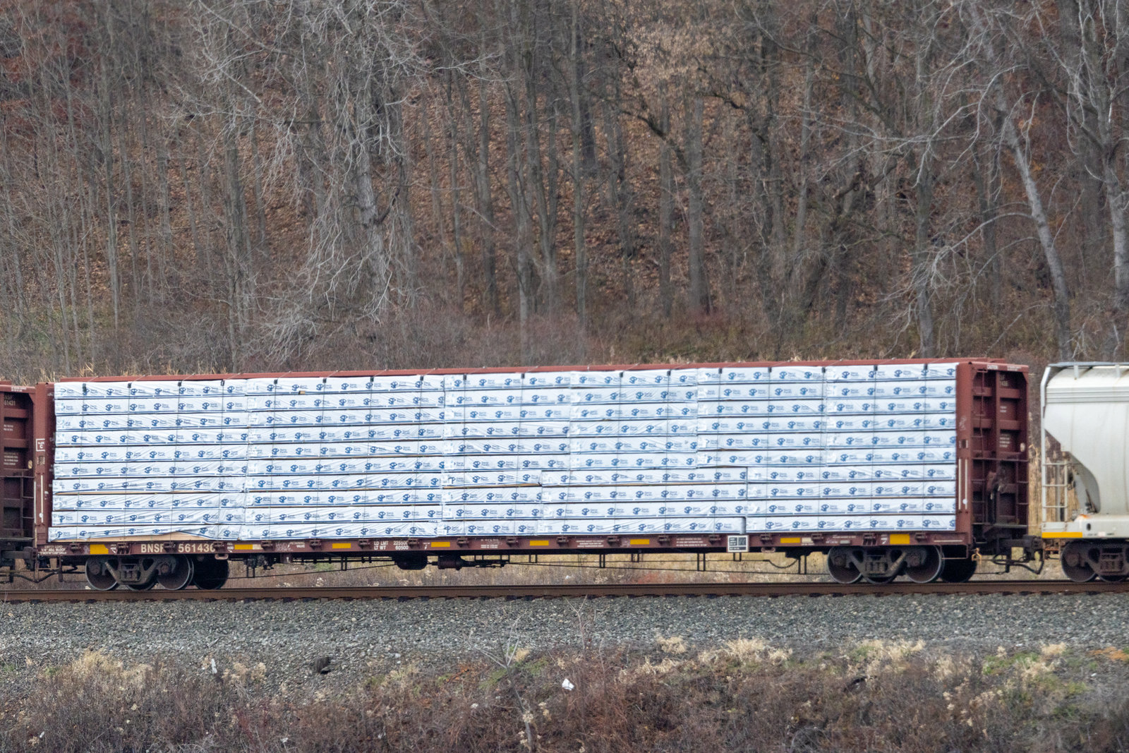 BNSF 561436