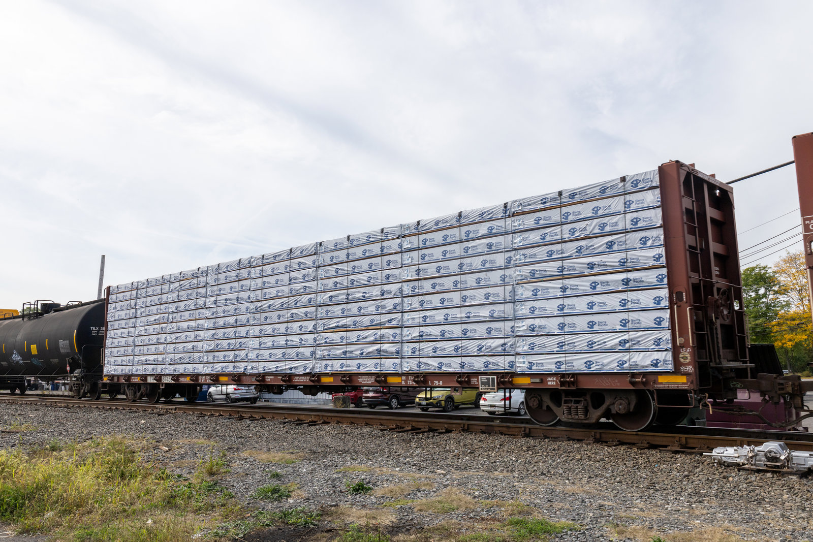 TR 874557