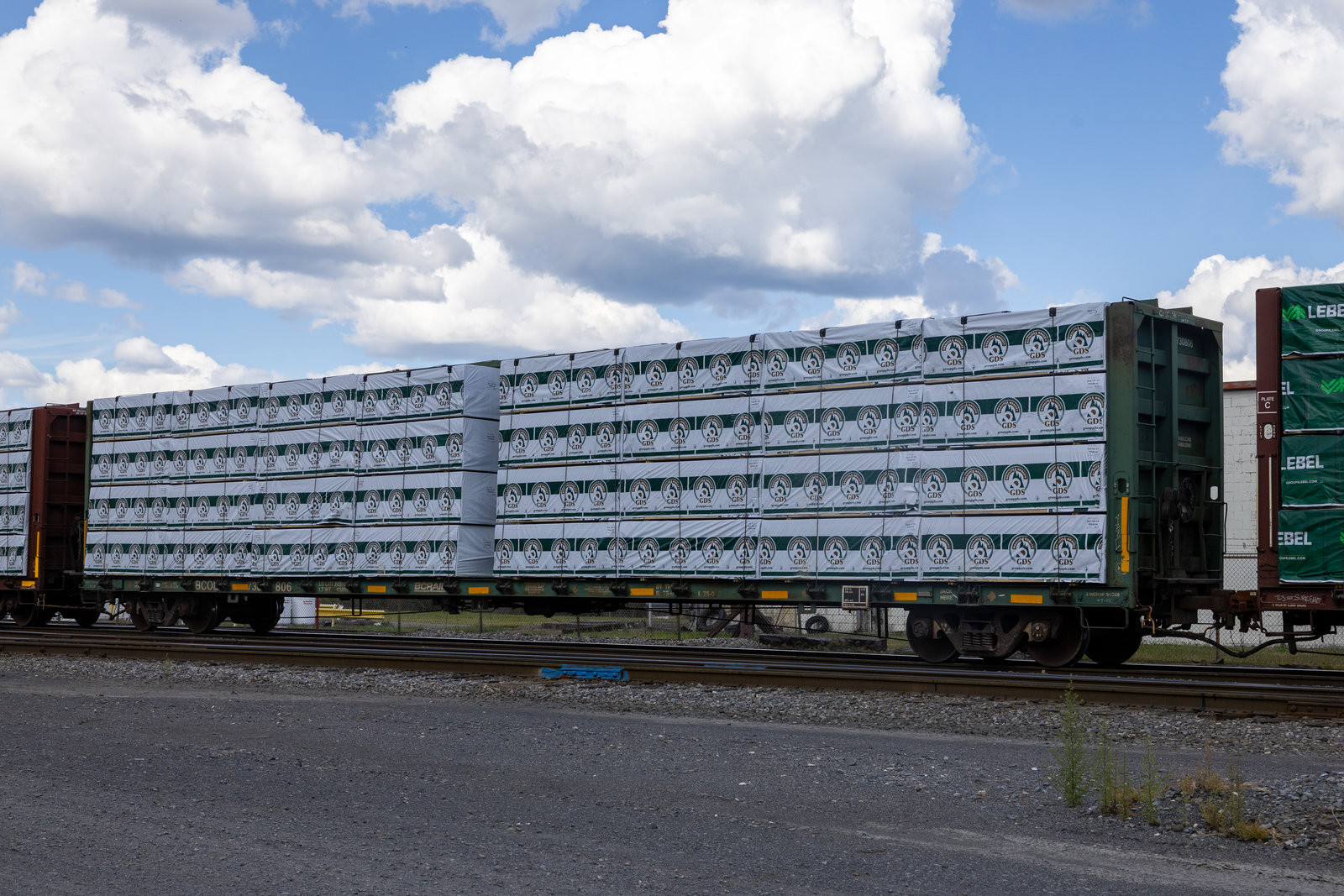 BCOL 730806