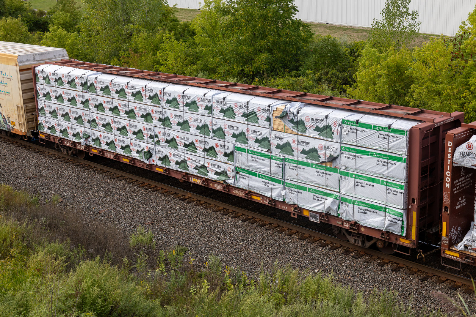 HLSC 3089