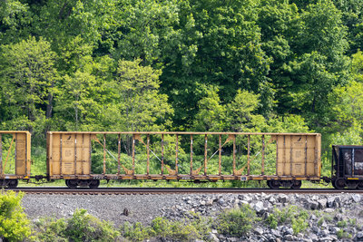 TTZX 87613