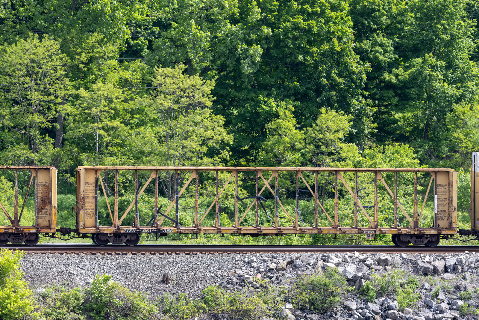 TTZX 861356