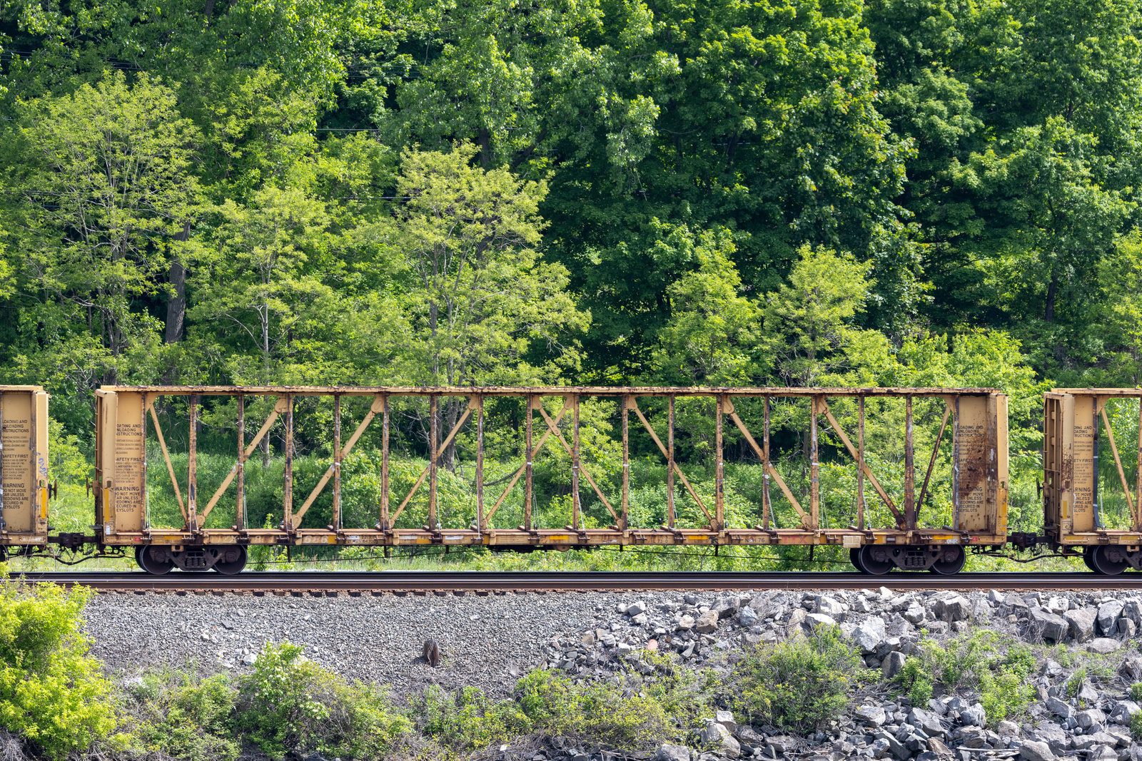 TTZX 861686