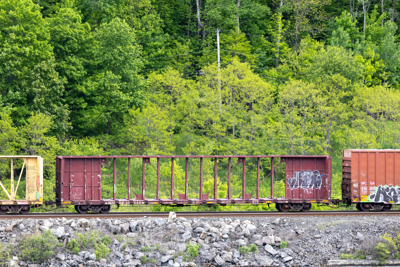BNSF 559491