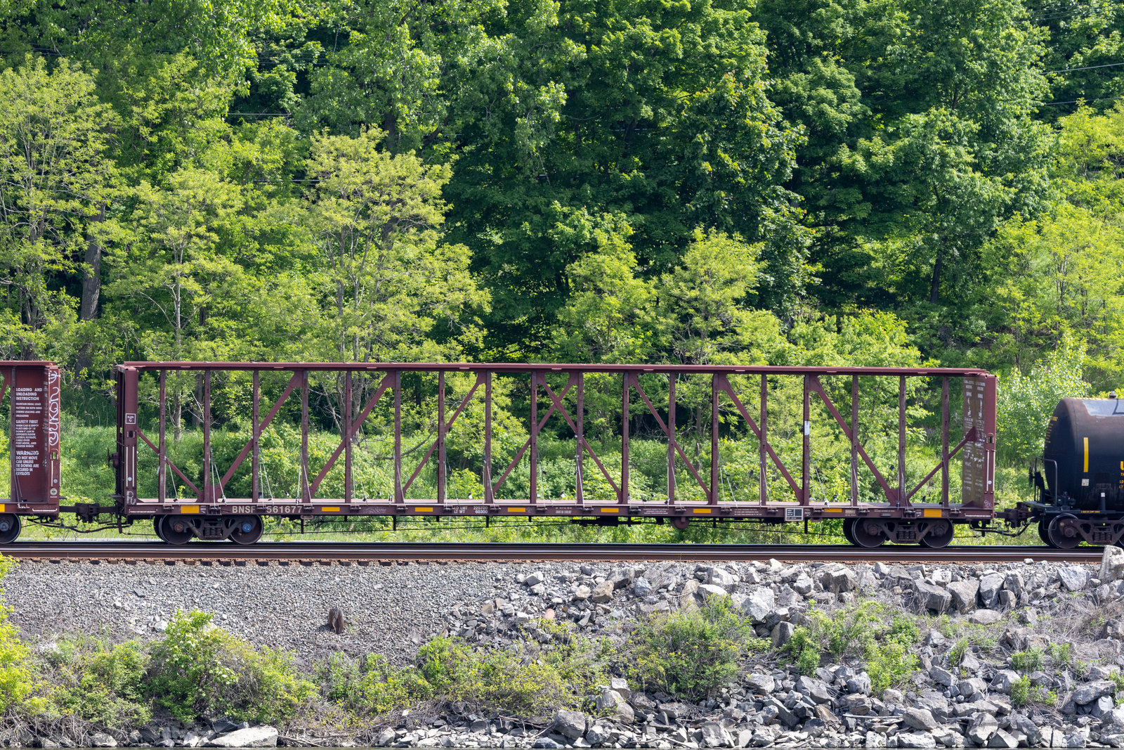 BNSF 561677