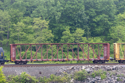 HLSC 3116